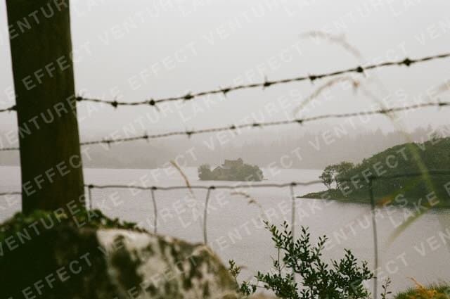 Film photograph 2
