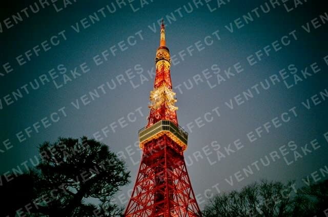 Film photograph 7