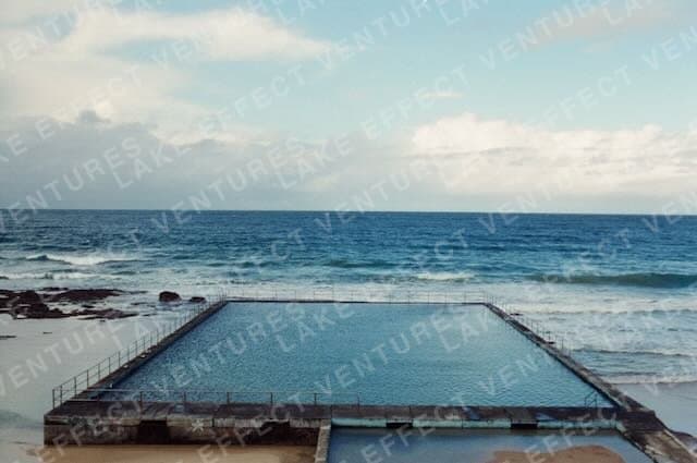 Film photograph 12